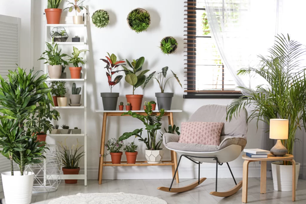 How Can I Make My Home More Useful ?