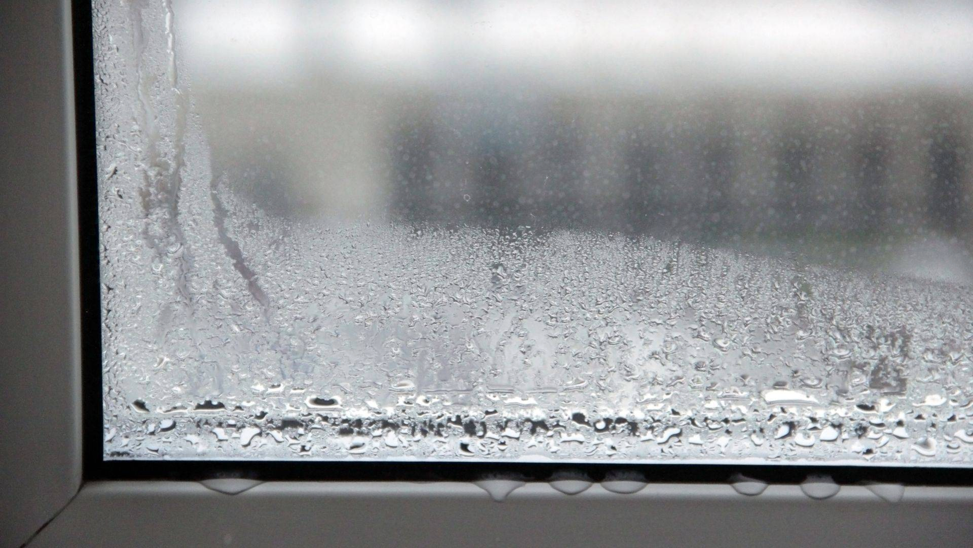 Window Haandedness When Should You Replace Your Windows?