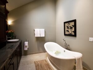 Bathroom Design Ideas With Tub