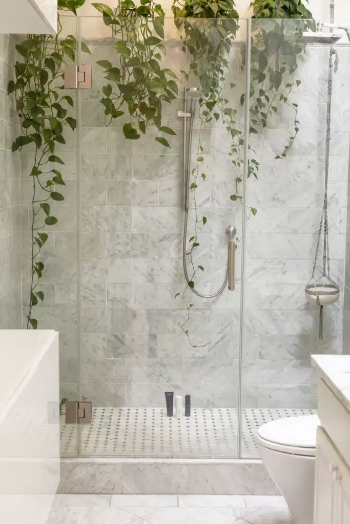 word3 | Elegant Kitchen and Bath | Ways to Keep Shower Looking New | Must Haves For Your New Kitchen